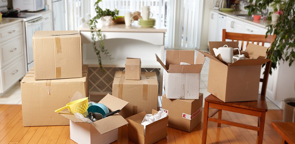 7 mandamentos para conviver com seu colega de apê