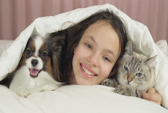 animais de estimação